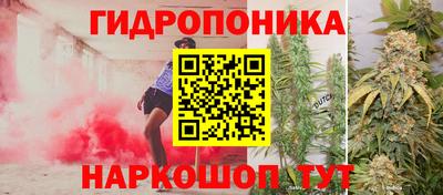 гашишное масло Аргун