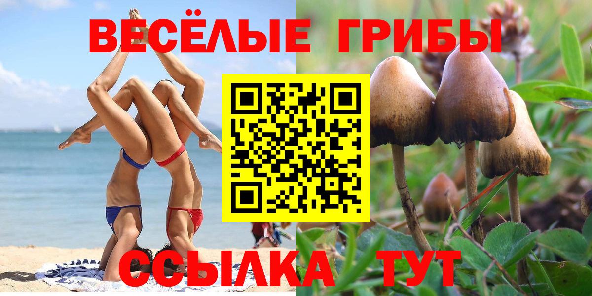 Галлюциногенные грибы Magic Shrooms  Галлюциногенные грибы Psilocybine cubensis  Берёзовский  Вход с VPN 